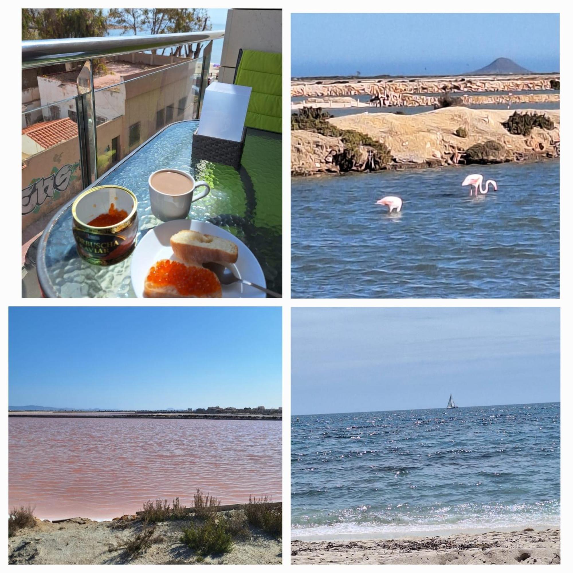 Nice Apartment With Terrace On The Los Locos Beach Τορεβιέχα Εξωτερικό φωτογραφία